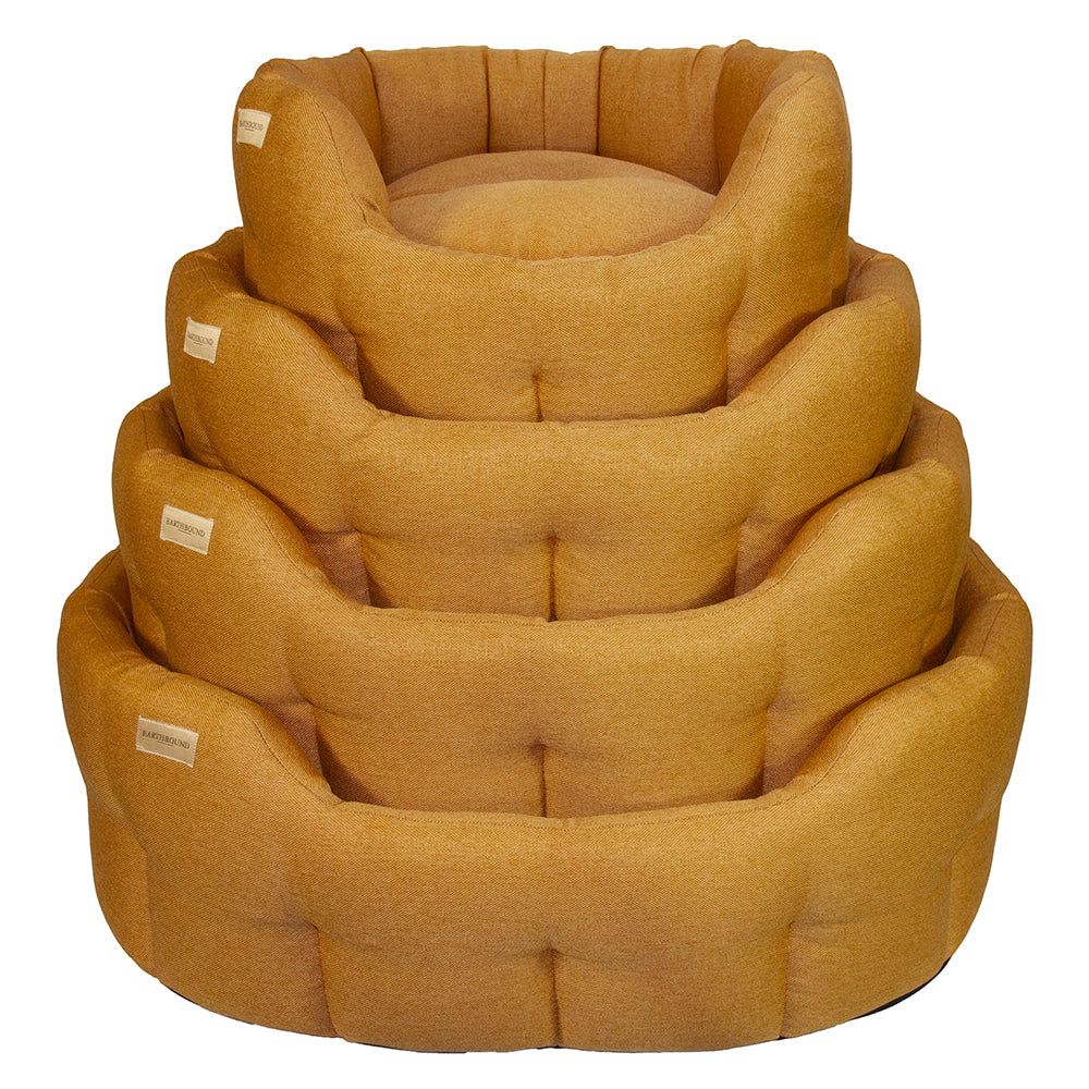 Classic Camden Apricot – Dozy Dog The Eco Pet Shop