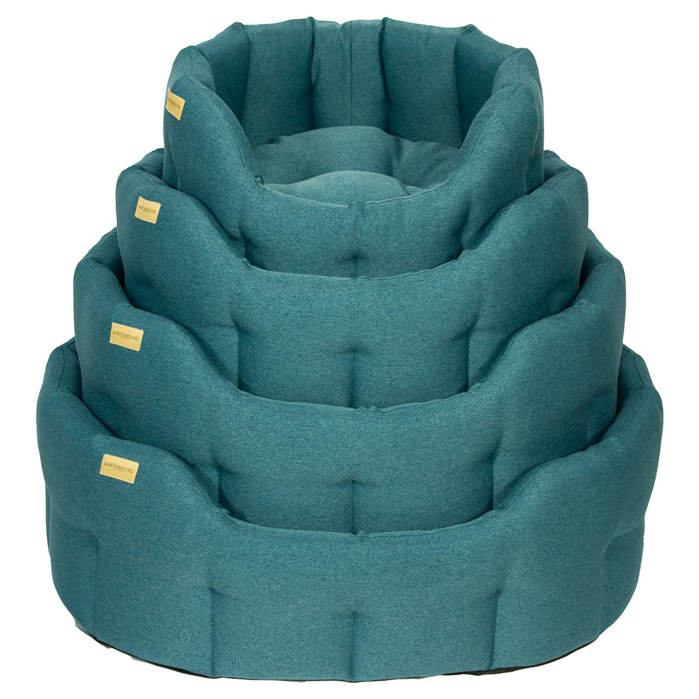 Classic Camden Teal – Dozy Dog The Eco Pet Shop