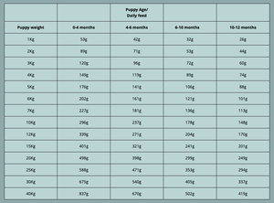 Rùn's Sea Fish & Chicken Puppy Food